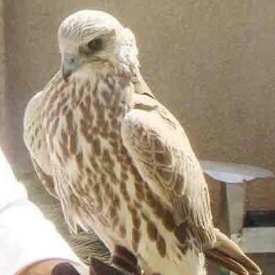 heydar_heydar20's profile picture. 