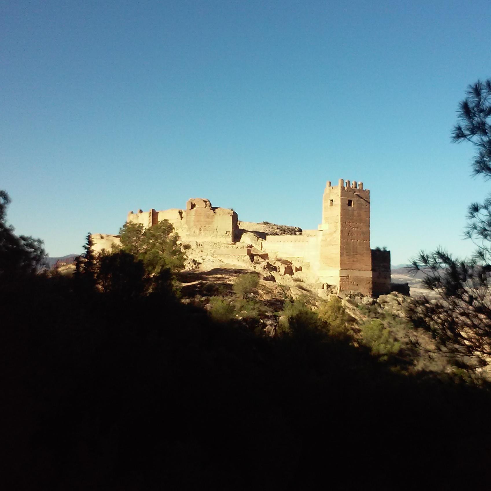 Cuenta oficial de información turística y actividades de Pliego. En el corazón de la Región de Murcia, en la falda de Sierra Espuña. Naturaleza pura y cultura.