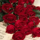 randa sweet - @Missou014Randa - Twitter