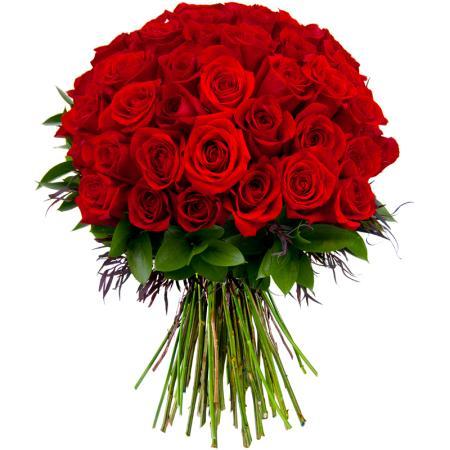 Fresh Flowers