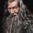 Gandalf777's profile image