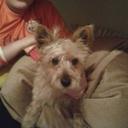 Patrick Roche - @65148c83eac041a - Twitter