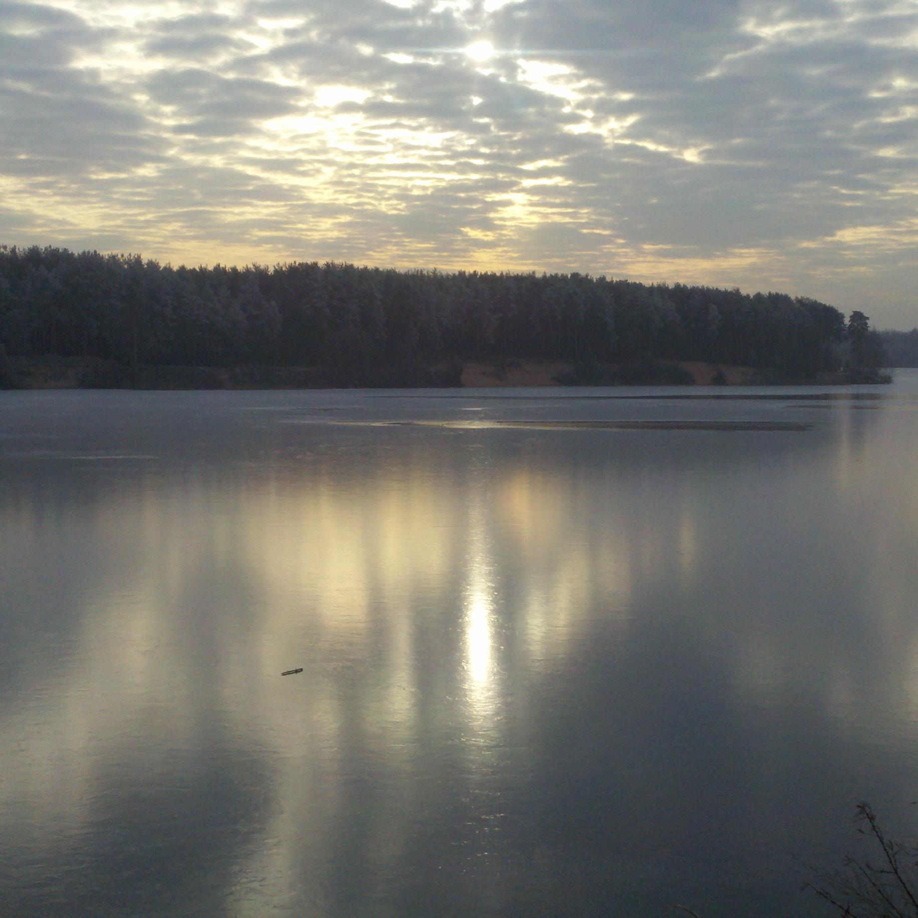 simser_wolfie's profile picture. 