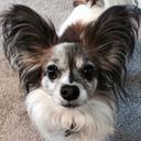 Robert Stout - @rstout10400 - Twitter