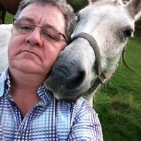 Carson  Harte (@carsonharte) 's Twitter Profile