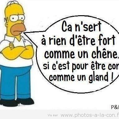 l_drole's profile picture. 