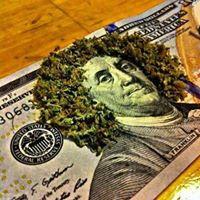Artist(music). Ceo of dope soul ent designer hustler   (I follow back)