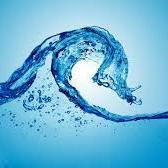 Follow Sport Fair and keep up to date on the latest Speedo, Nike, and Dolfin styles as well as swimming news and tips! We're a swimwear store in Arlington, VA!