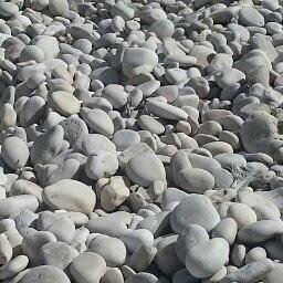 d62c283f173147e's profile picture. 