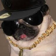 pugIets's profile picture. im a tank lmao