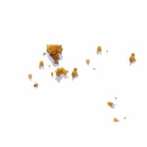 im that crumb. I once was a piece of toast until Dodie dropped me and didnt return me to my toast||DovanPlugSocketHasMyHeart✨