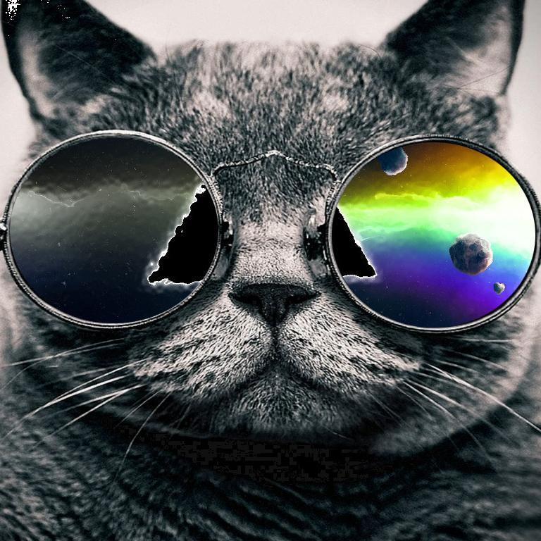 maxriot1888's profile picture. Celtic Fan :)