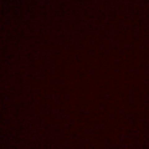 dessy_savage's profile picture. sometimes you have to kick the illiterate to the curb and do you