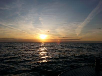 Rabbi Dovid Lewis Profile