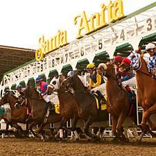 Horse Handicapper-Santa Anita & Del Mar Race Tracks.  Southern California Native, Proud American Citizen.  Pray for our U.S.A.