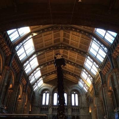 SuperflyMediaCo's profile picture. Football