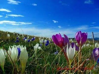 💊The pharmacist is your closest health adviser. 🇹🇷🇹🇷🫶