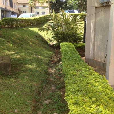 cabdirashiid1's profile picture. 