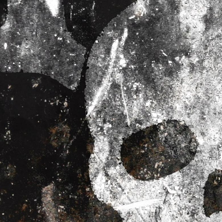 grailtotherail's profile picture. 