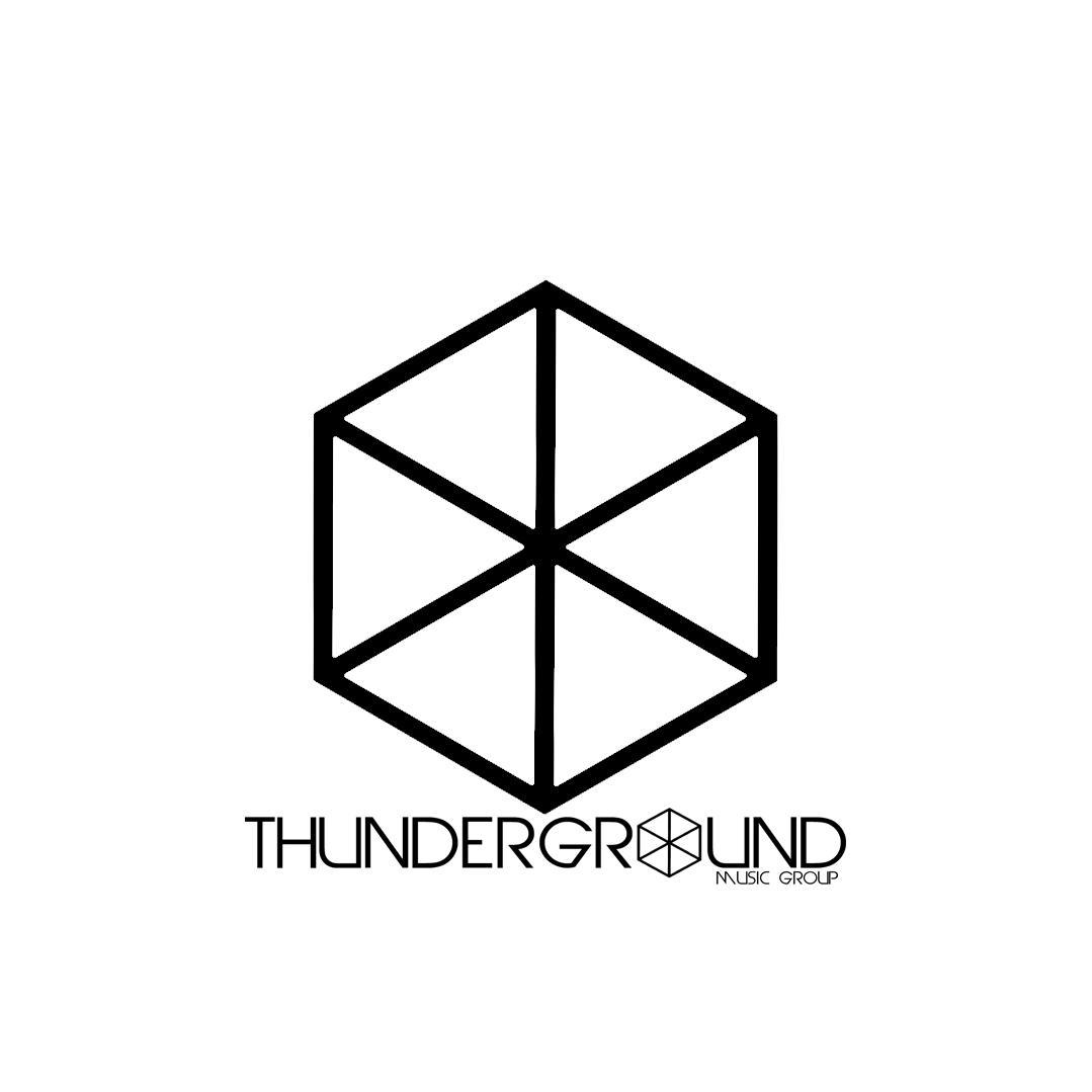 thunderground_'s profile picture. Send tracks for promo to any of our social media pages, #follow4follow #followback