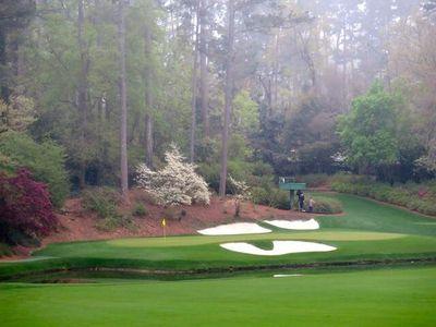 pngolfdwaign2's profile picture. 