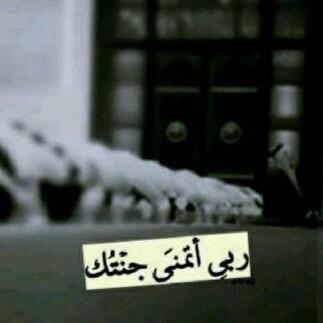 : عينہاا وسيعہ والكحل حدهاا حد ، ماا مثل عينہاا ب الحلا آدميهہ ، وإلياا بغيتوا فخخر أبوهاا مع الجد ، قلت إستريحوا أصلہاا صيعـــــريه               الرياض