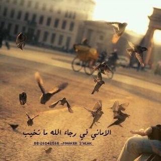(( نصيحة محب )) إحذرٓ أن تُسيئَ لأحد فَيكون سِلاحُه (( حسبي الله ونِعم الوكيل ))