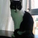 Sandy Benavides - @1bea2e0c33084bc - Twitter