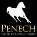 Penech Stud (@penechstud) Twitter profile photo Penech Stud (@penechstud) Twitter profile photo