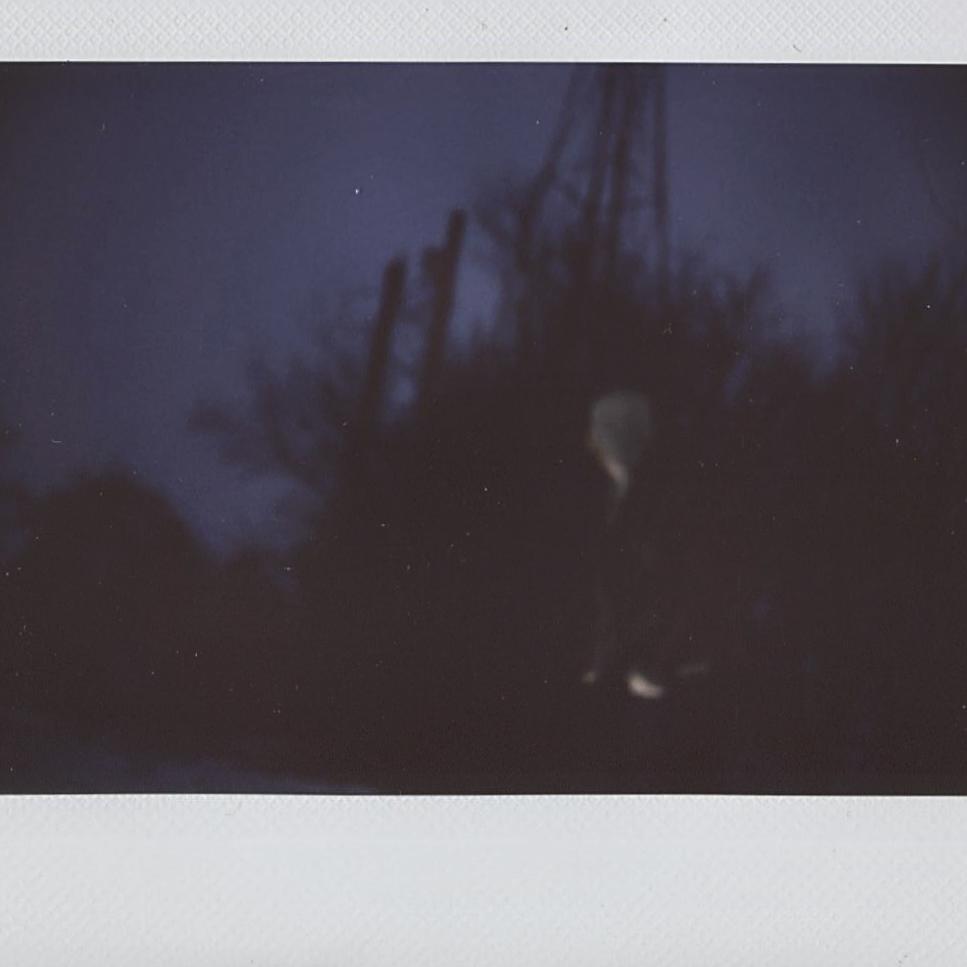 Pre-order the debut LP Mr Wolf Is Dead now: http://t.co/4dW0kb1zwo // Available 3/24.