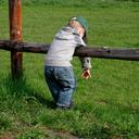 Regina Schultz-Mölle - @RegaMol - Twitter