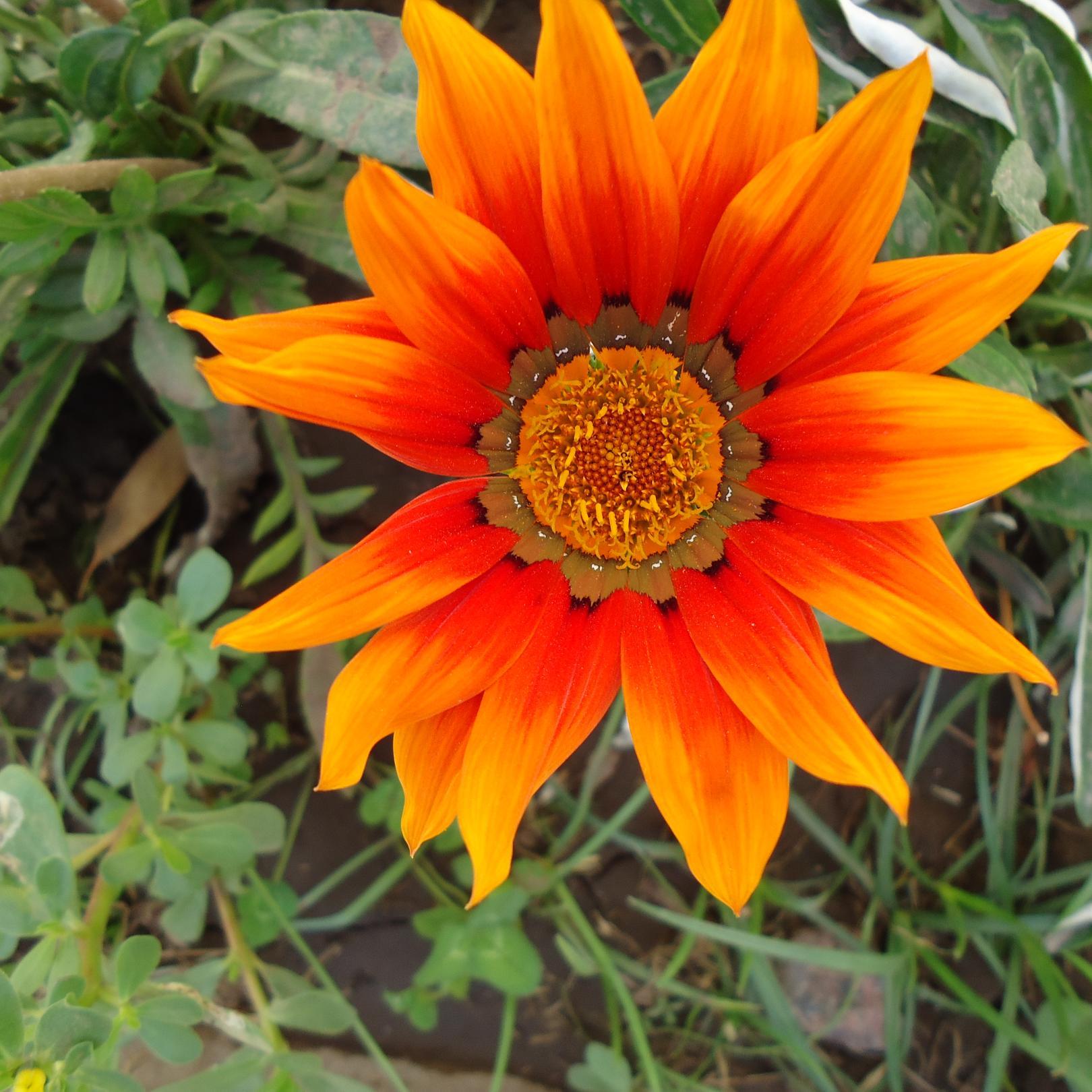 Lu_pintos5's profile picture. 