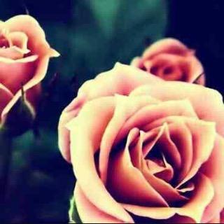 GO FOLLOW @liampaxnetrain AND SHE WILL FOLLOW BACK #teamfollowback