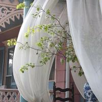 للجنة خطانا . (@d4674aa6d9d5474) Twitter profile photo
