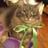 black4catttt's profile image