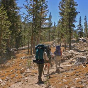 donbradyspeaks's profile picture. 