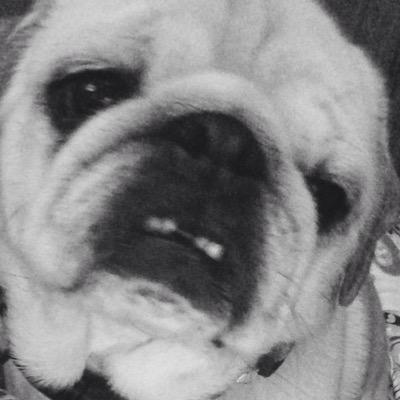 pugalicious