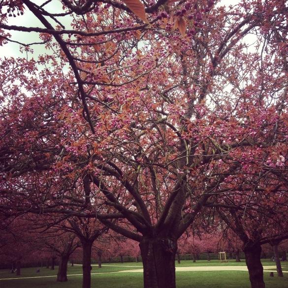 WhiJsn's profile picture. 