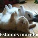 erwin jimenez - @darwmaferwin - Twitter