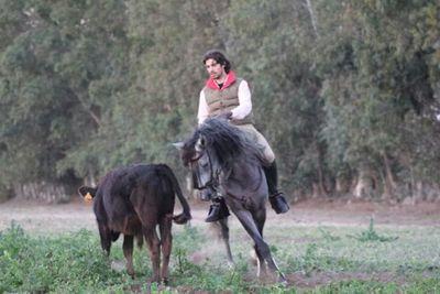 encantado por el toro bravo y enamorado del caballo