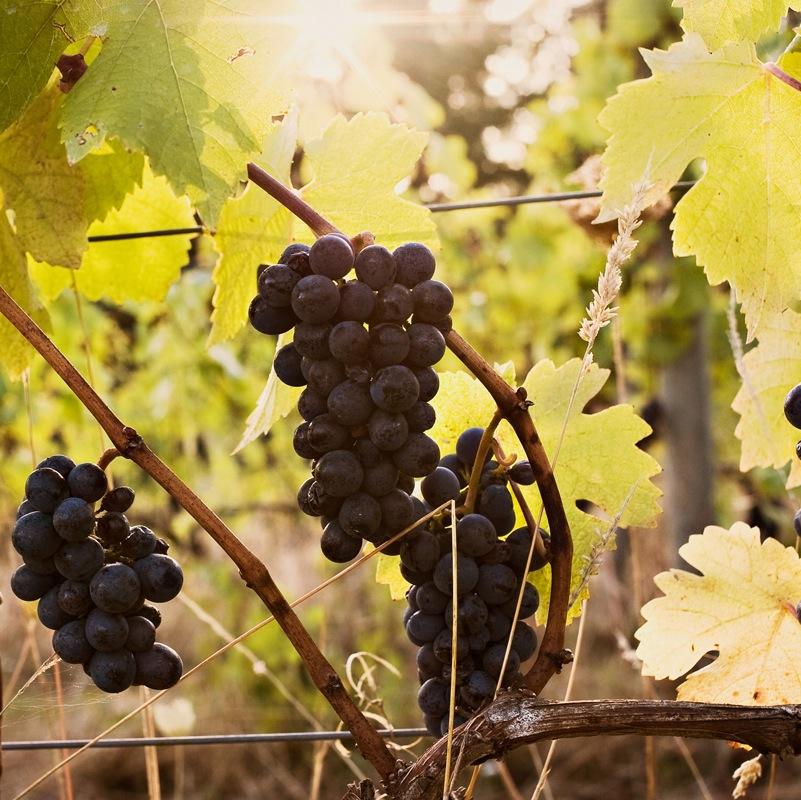 kathrynelsesser's profile picture. 