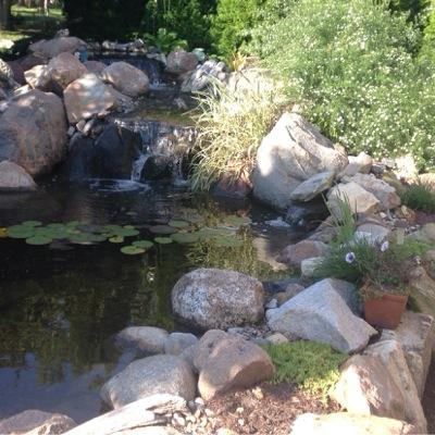 TurfdoctorsAndy's profile picture. Building your outdoor paradise that brings the family together.