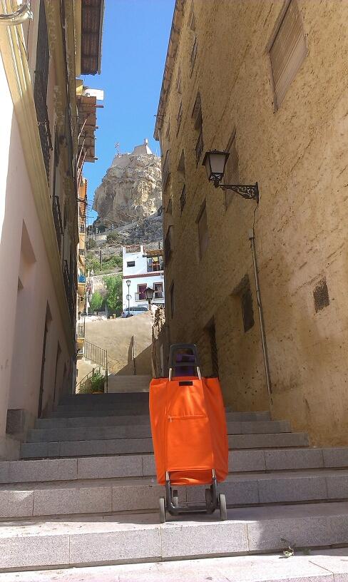 gastonywhitney's profile picture. 