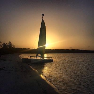 MidnightThough1's profile picture. 