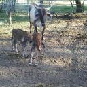 Víctor R. Rivera - @raul_rivera19 - Twitter