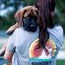 Sunset Vet Clinic (@sunsetvetclinic) Twitter profile photo