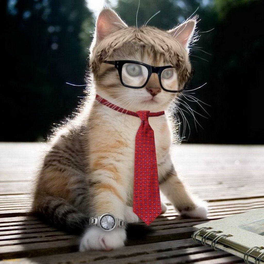 Total analyst. Unapologetic bacon fanatic. Travel Fan. Gadget Explorer