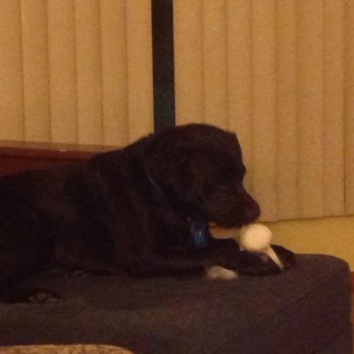 abehrend's profile picture. 