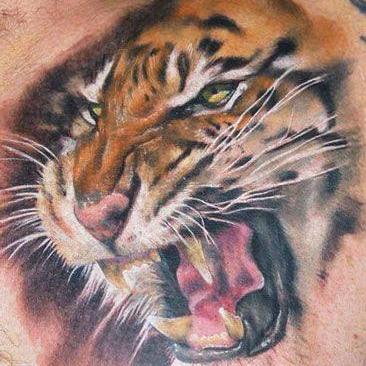 bionicman66's profile picture. 