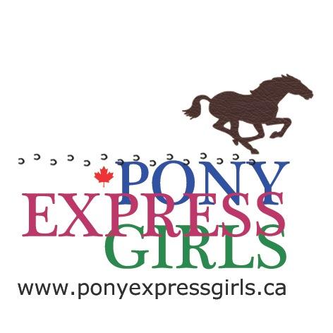 PEGboxes's profile picture. 